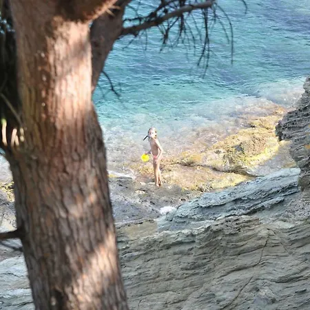 Salto Canino Nyaraló