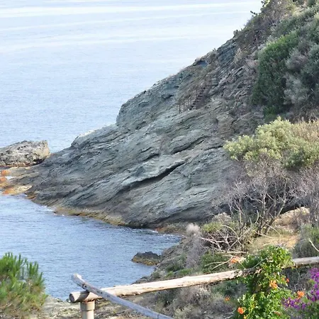 Salto Canino * Brando