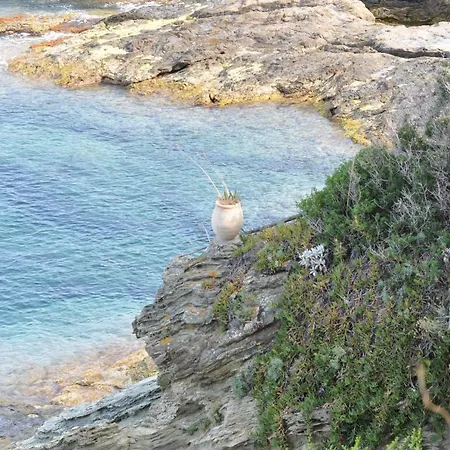 Salto Canino Nyaraló Brando